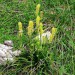 11722-1313-p1150527-